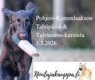 Pohjois-Kymenlaakson Talvipäivä ja Talvinome-karsinta❄️
 
Tervetuloa Kaakon Noutajien jäsenet talvipäivään sunnuntaina 1.3.2026 klo 10 Paukun Majalle (Hevossuonpolku 121, Kouvola). Talvipäivässä järjestetään talvinome, joka on leikkimielinen ja epävirallinen noutajien metsästyskokeen kaltainen koe (hakuruutu, markkeeraus ja linja, dameilla). Talvinomeen osallistuminen on kaikille avoin ja kaikki halukkaat saavat osallistua, mutta vain alle 22kk sijoittuneet koirat palkitaan ja huomioidaan karsinnassa. Suoritukset pisteytetään, ja tehtävien perusteella valitaan edustaja Kaakon Noutajakoirayhdistyksen joukkueeseen Pirkan dameihin 28.3.2026 (koiran ikä tulee olla alle 22 kk).

Tuomareina toimii:

Satu Kärki 
Minna Johansson 

Lisäksi ohjelmassa on makkaranpaistoa sekä seniori-ikäisille koirille (+8 v) leikkimielinen seniorihaku jossa myös paras palkitaan.❤️

Tapahtumaa sponsoroimassa Noutajakauppa.

Pyydämme kaikkia ilmoittautumaan talvipäivään 21.2.2026 mennessä sähköpostitse osoitteeseen pklaluetoimikunta@gmail.com