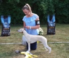 BIS 3 Whippet Gerda Iz O Gardarice